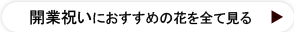 開業祝いにおすすめの花をすべて見る