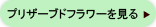 プリザーブドフラワーを見る