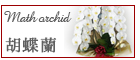 台東区 胡蝶蘭