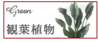 台東区 観葉植物